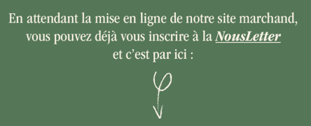 Texte de la Newsletter